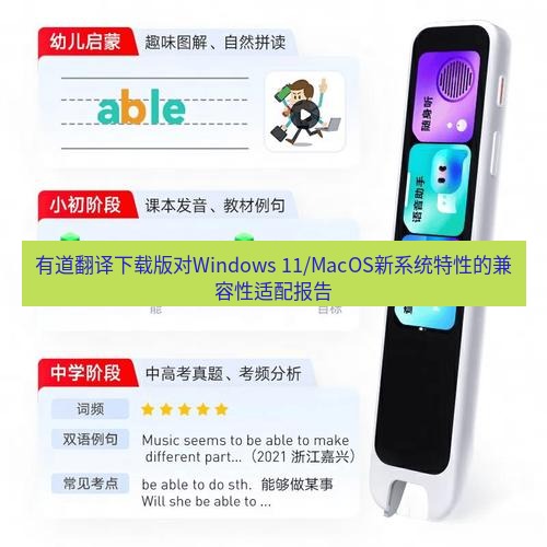 有道翻译在线 有道翻译下载版对Windows 11/MacOS新系统特性的兼容性适配报告