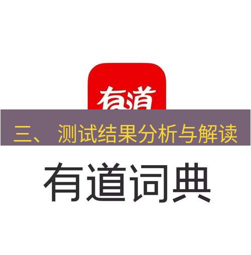 有道翻译在线 三、 测试结果分析与解读