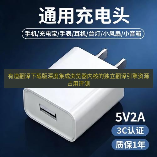 有道翻译在线 有道翻译下载版深度集成浏览器内核的独立翻译引擎资源占用评测