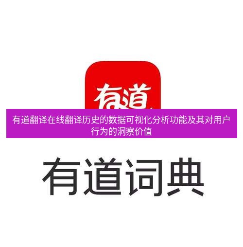 有道翻译在线 有道翻译在线翻译历史的数据可视化分析功能及其对用户行为的洞察价值