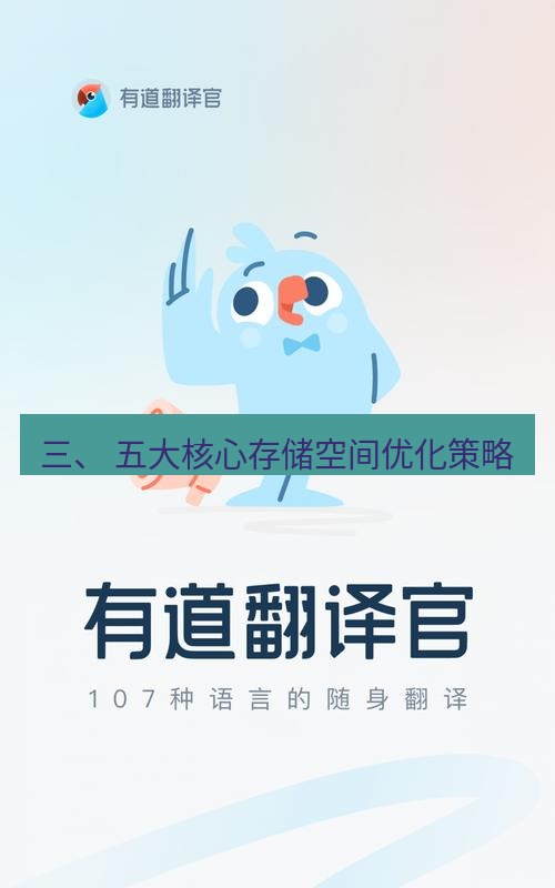 有道翻译在线 三、 五大核心存储空间优化策略