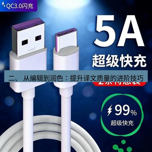 有道翻译在线 二、 从编辑到润色：提升译文质量的进阶技巧