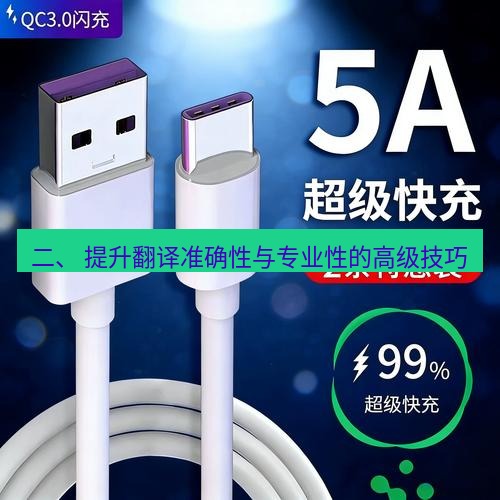 有道翻译在线 二、 提升翻译准确性与专业性的高级技巧