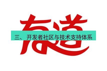 有道翻译在线 三、 开发者社区与技术支持体系