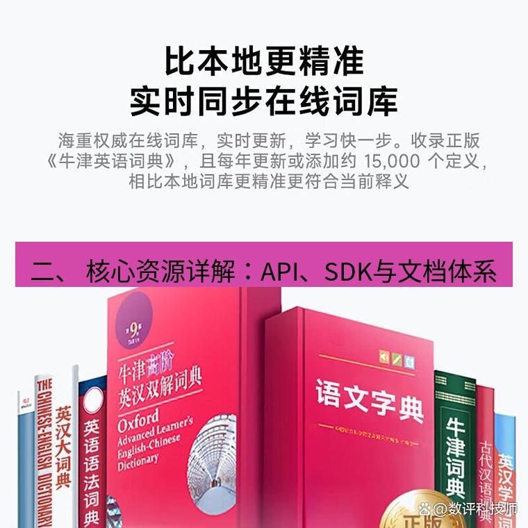 有道翻译在线 二、 核心资源详解：API、SDK与文档体系