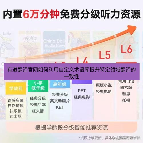有道翻译在线 有道翻译官网如何利用自定义术语库提升特定领域翻译的一致性
