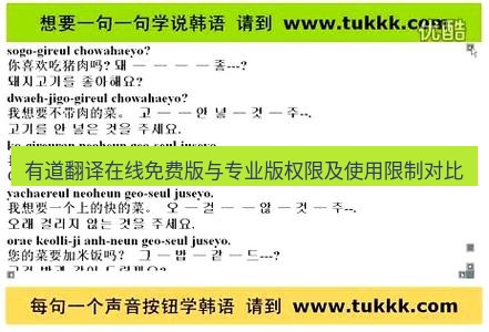 有道翻译在线 有道翻译在线免费版与专业版权限及使用限制对比