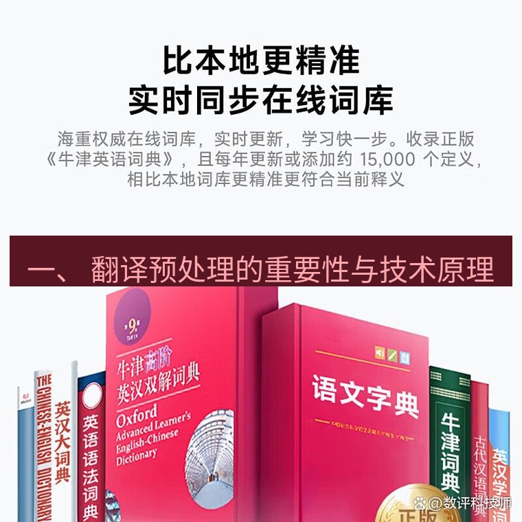 有道翻译在线 一、 翻译预处理的重要性与技术原理