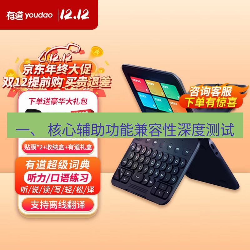 有道翻译在线 一、 核心辅助功能兼容性深度测试