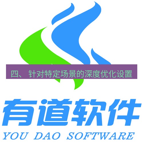有道翻译在线 四、 针对特定场景的深度优化设置