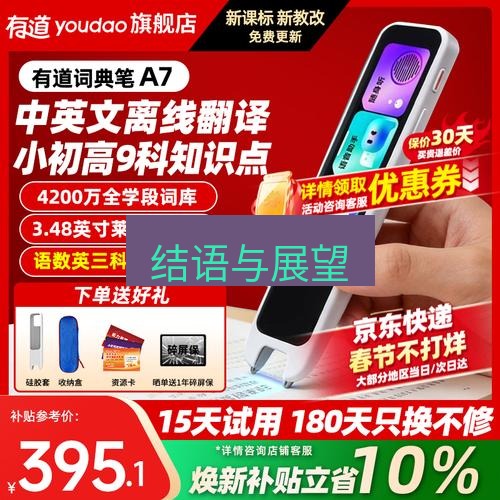 有道翻译在线 结语与展望