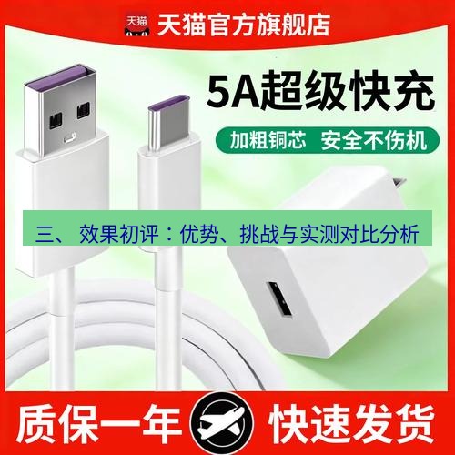 有道翻译在线 三、 效果初评：优势、挑战与实测对比分析