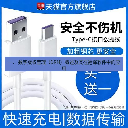 有道翻译在线 一、 数字版权管理（DRM）概述及其在翻译软件中的应用