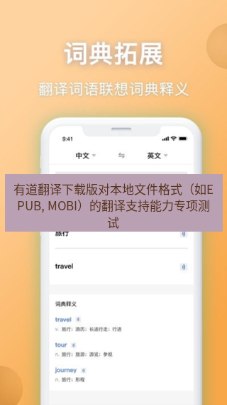 有道翻译在线 有道翻译下载版对本地文件格式（如EPUB, MOBI）的翻译支持能力专项测试