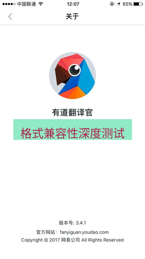有道翻译在线 格式兼容性深度测试
