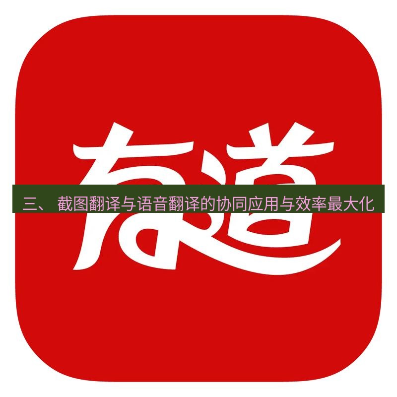 有道翻译在线 三、 截图翻译与语音翻译的协同应用与效率最大化