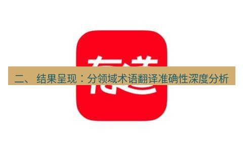 有道翻译在线 二、 结果呈现：分领域术语翻译准确性深度分析