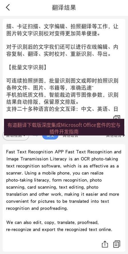 有道翻译在线 有道翻译下载版深度集成Microsoft Office套件的宏与插件开发指南