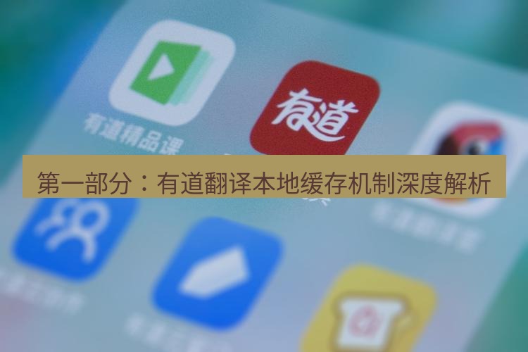 有道翻译在线 第一部分：有道翻译本地缓存机制深度解析