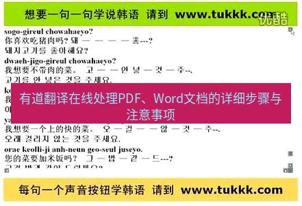 有道翻译在线 有道翻译在线处理PDF、Word文档的详细步骤与注意事项