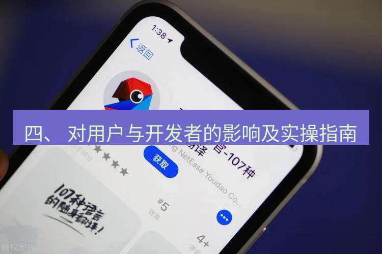有道翻译在线 四、 对用户与开发者的影响及实操指南
