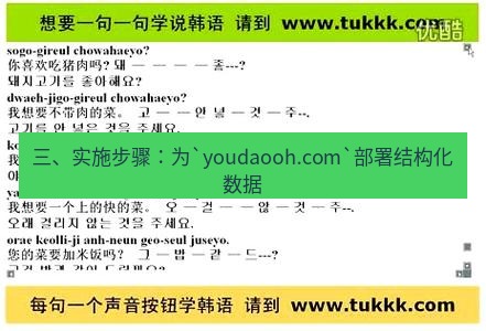 有道翻译在线 三、实施步骤：为`youdaooh.com`部署结构化数据